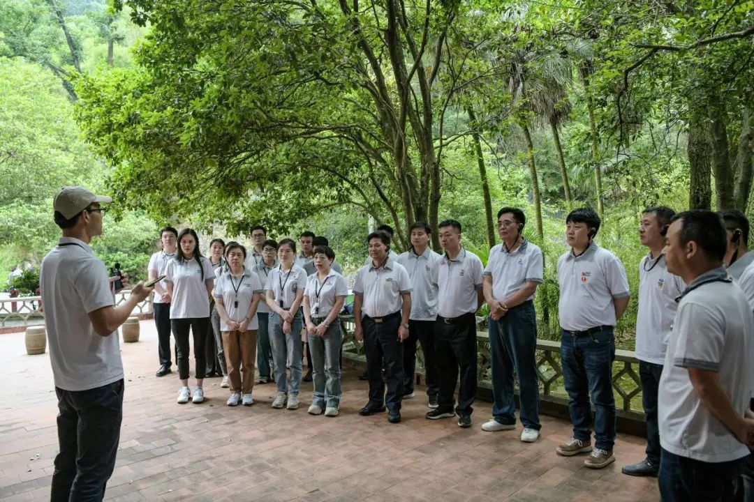 6e7ebe6f4ebc8e532f232da49c09ece2